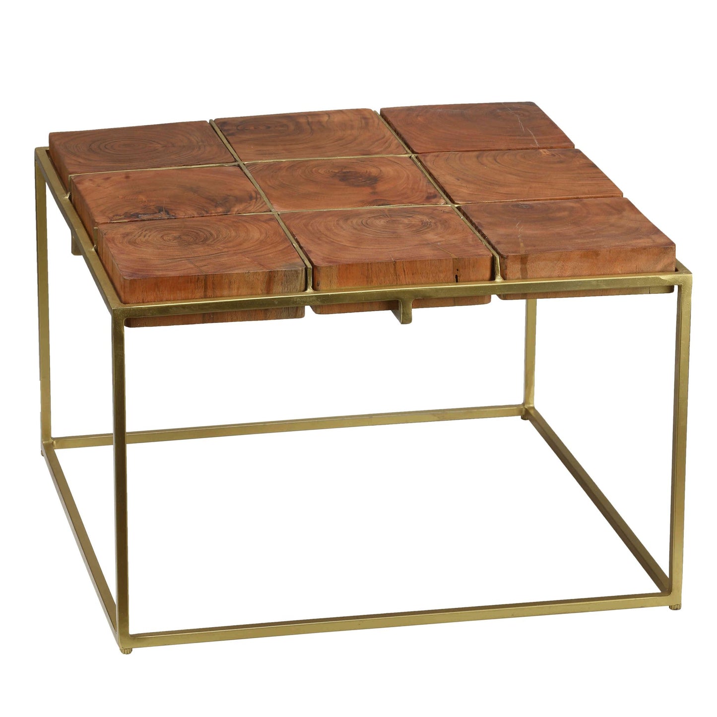 Bare Decor Cheyenne Metal and Wood Coffee Table