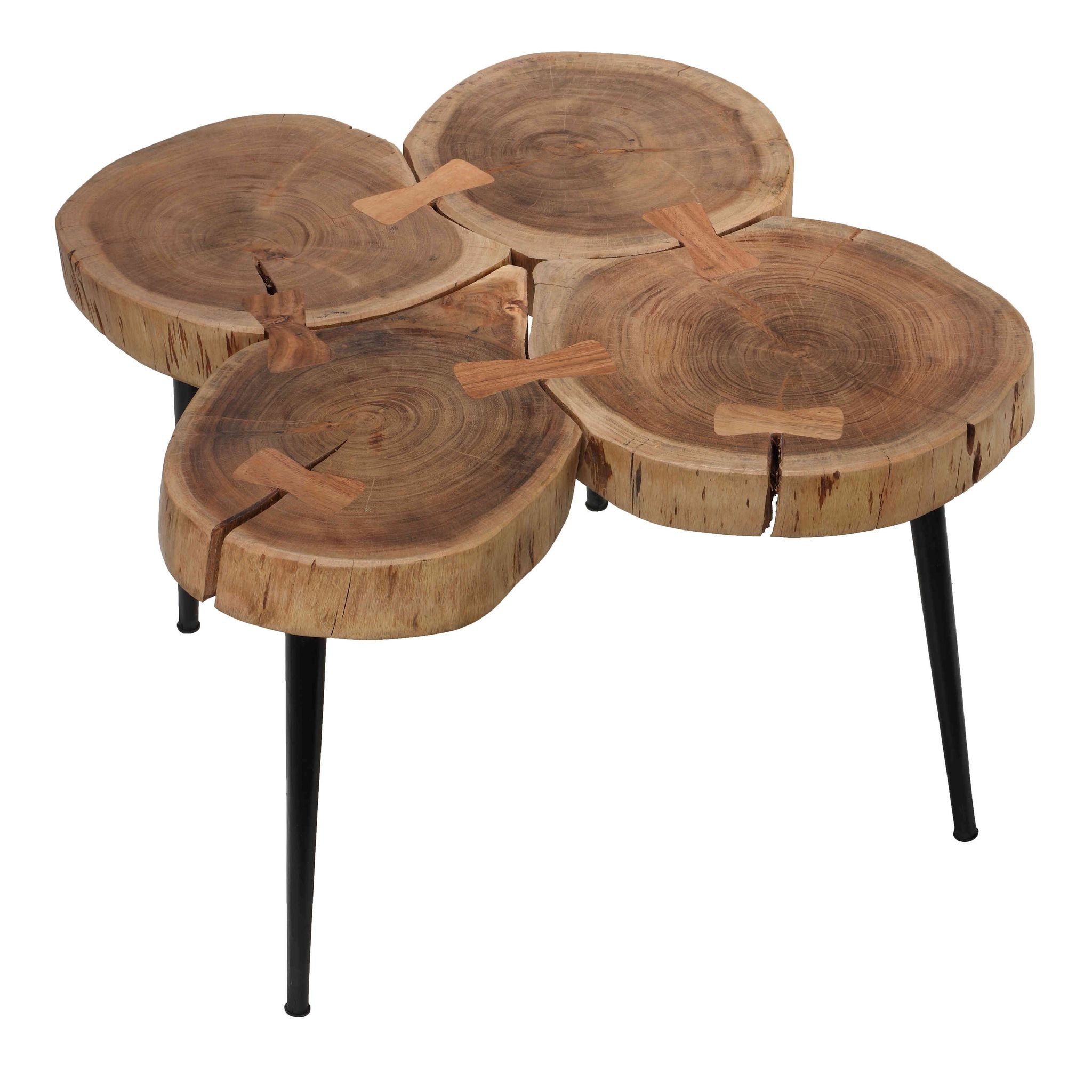 Bare Decor Tucker Metal and Wood End Table
