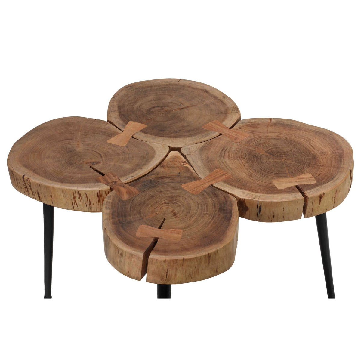 Bare Decor Tucker Metal and Wood End Table