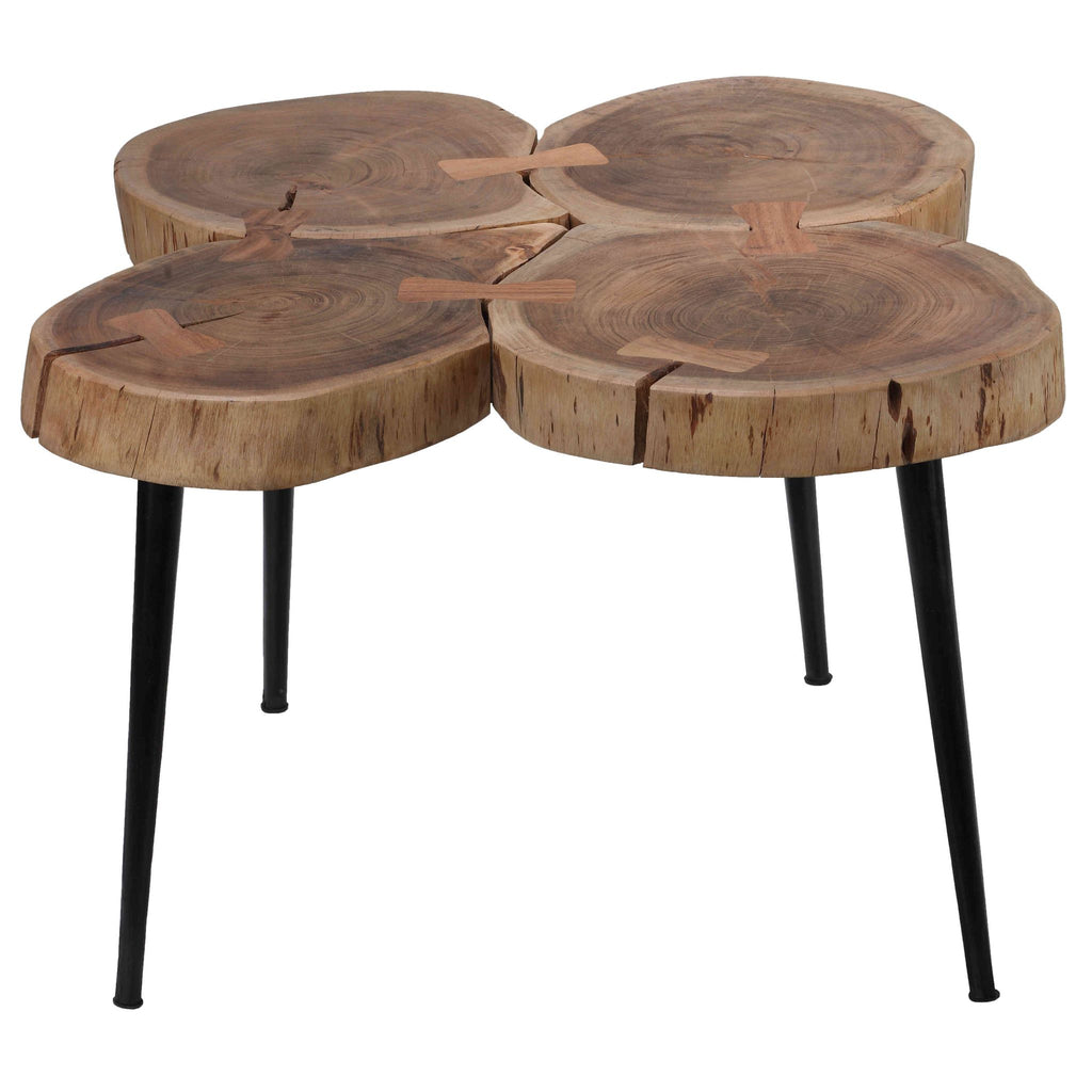 Bare Decor Tucker Metal and Wood End Table