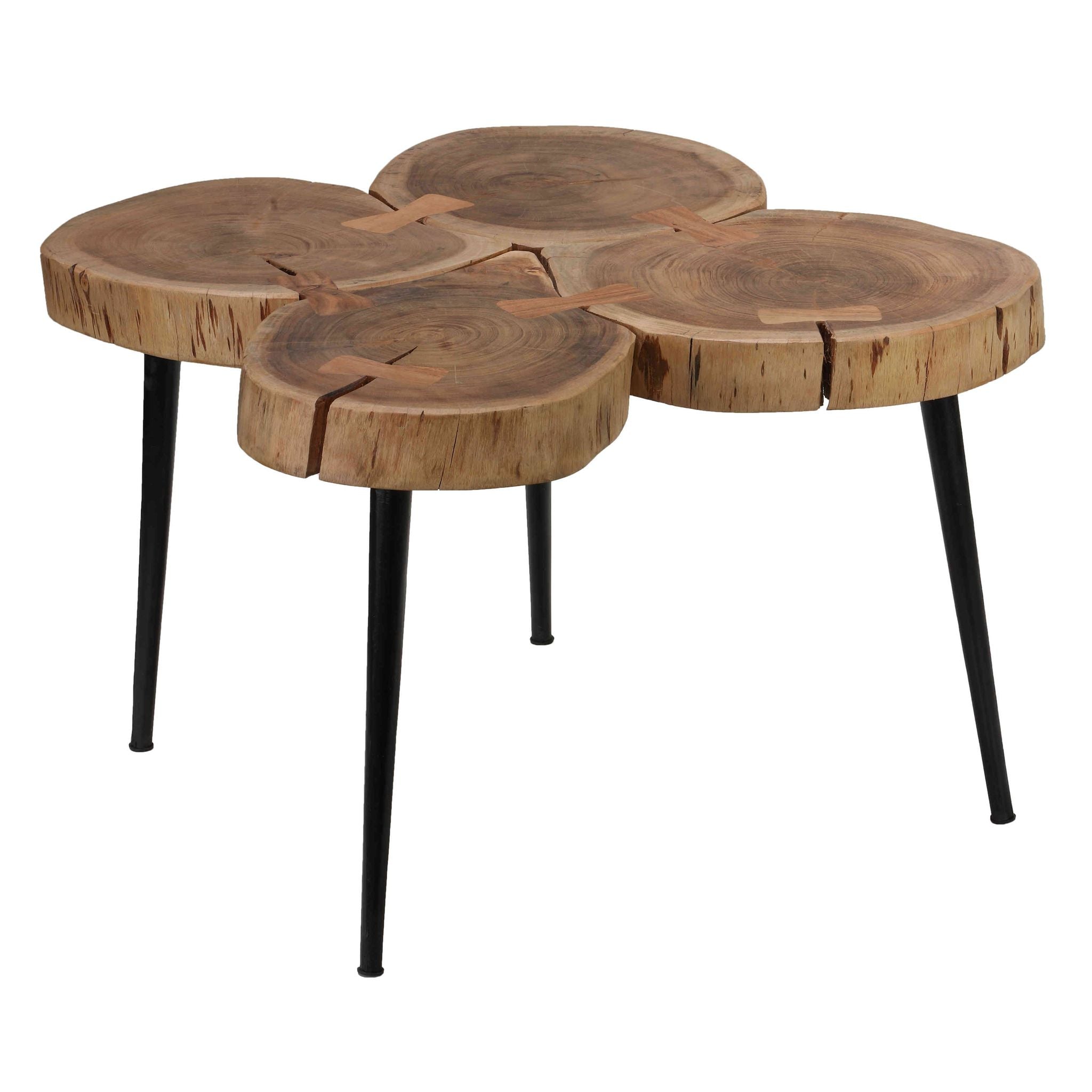 Bare Decor Tucker Metal and Wood End Table