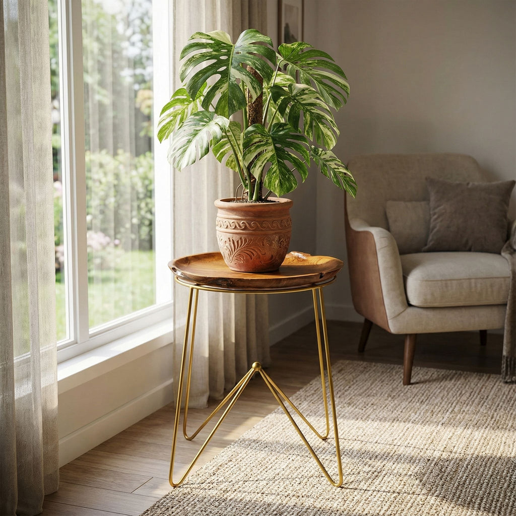 Bare Decor Paolo End Table with Teak Wood Top with Gold Finish Metal Legs