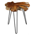 Bare Decor Evan Accent End Table with Solid Teak Root Top