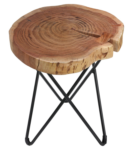 Bare Decor Sawyer Metal and Wood End Table