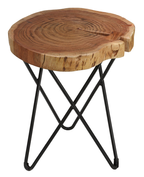 Bare Decor Sawyer Metal and Wood End Table